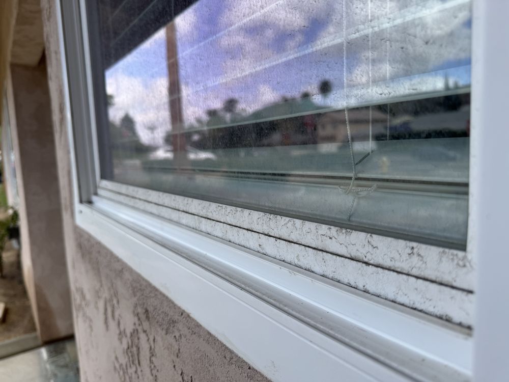 professional solar panel cleaners